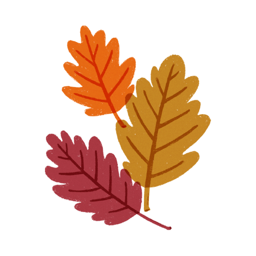 Fall leaves